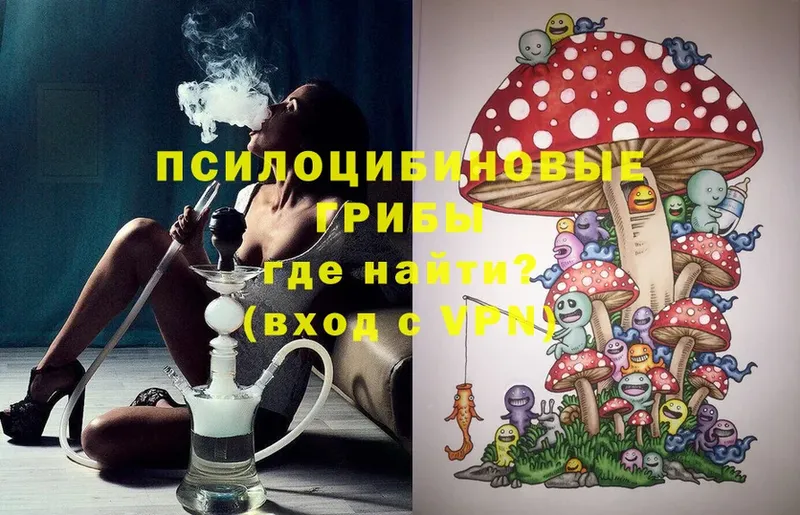 Галлюциногенные грибы Psilocybine cubensis  Фролово 